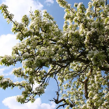 Endlich Ferien Waldshut-Tiengen