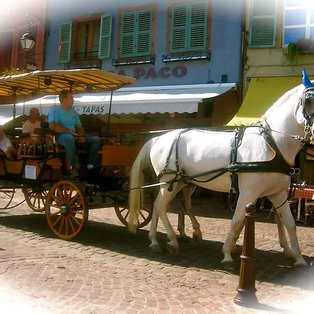Apartment Endlich Ferien Waldshut-Tiengen