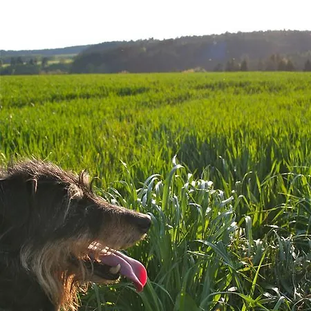 Apartment Endlich Ferien Waldshut-Tiengen