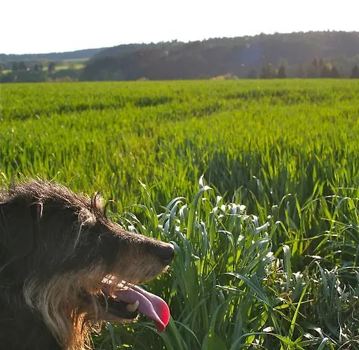 شقة Endlich Ferien فالدزهوت-تينغن