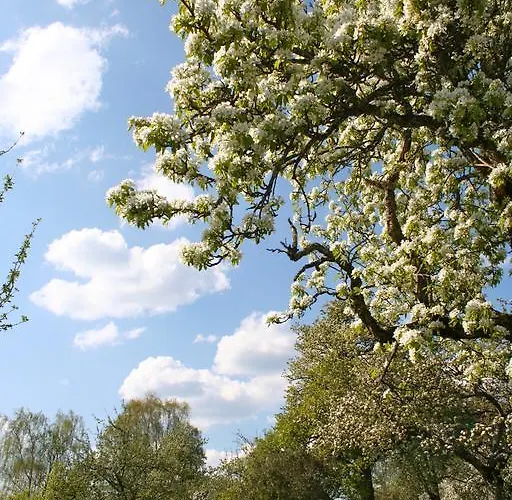 Endlich Ferien فالدزهوت-تينغن